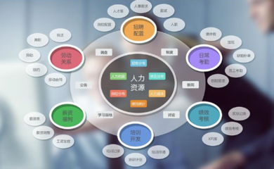 企業(yè)管理軟件與咨詢 雙輪驅(qū)動(dòng)，賦能企業(yè)數(shù)字化轉(zhuǎn)型
